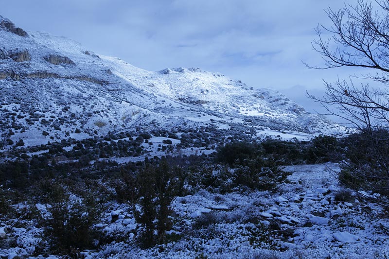 Monsec de Rúbies