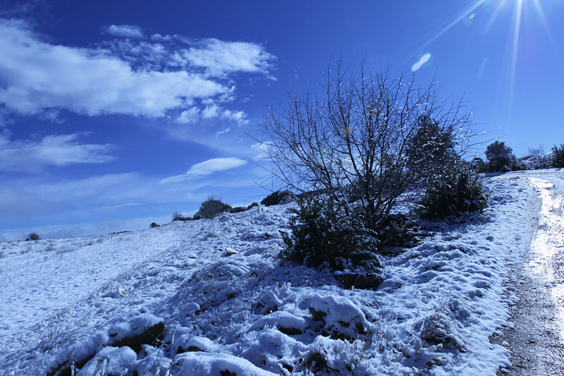 Monsec de Rúbies