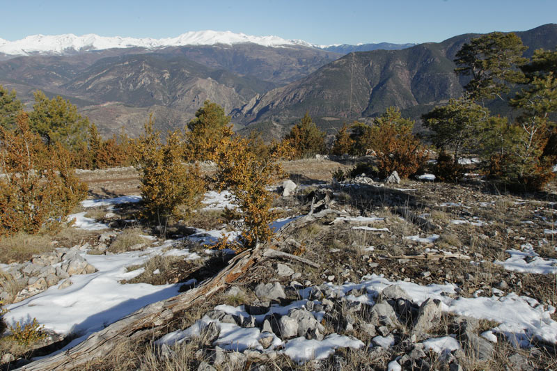 Vistes del Pirineu .