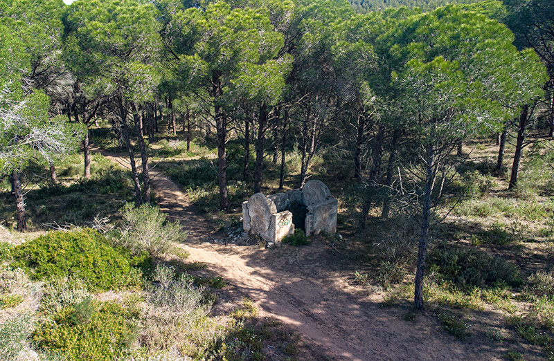 Barraca de vinya