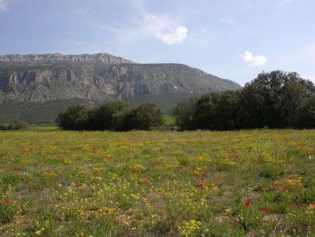 Primavera a la Vall d'Àger