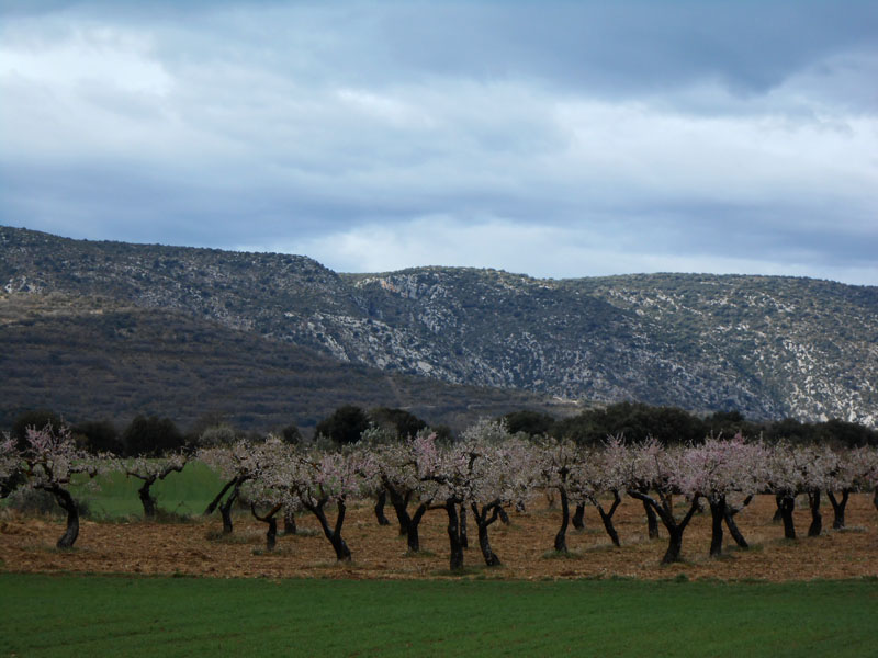 Mirant cap a la Serra de Montclús