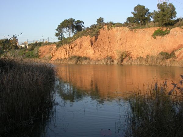 Estany dels Alous