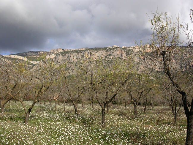 Paisatges de la Vall D'Àger (1/3)