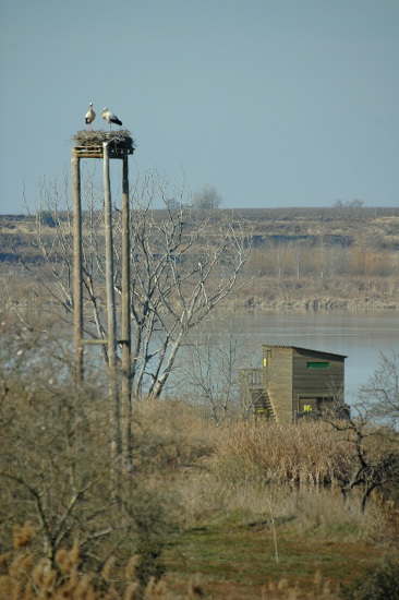 Estany d'Ivars i Vila Sana