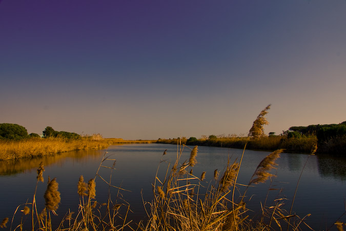 Panoràmica del Delta del Llobregat