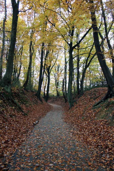 Tardor a centreeuropa