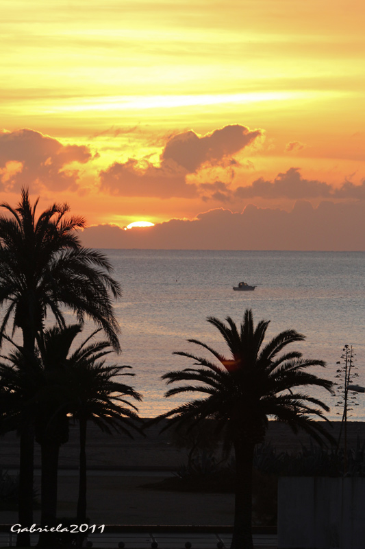 L'ALBADA A EMPURIABRAVA II