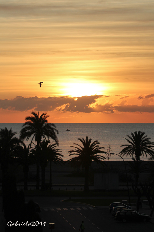 L'ALBADA A EMPURIABRAVA