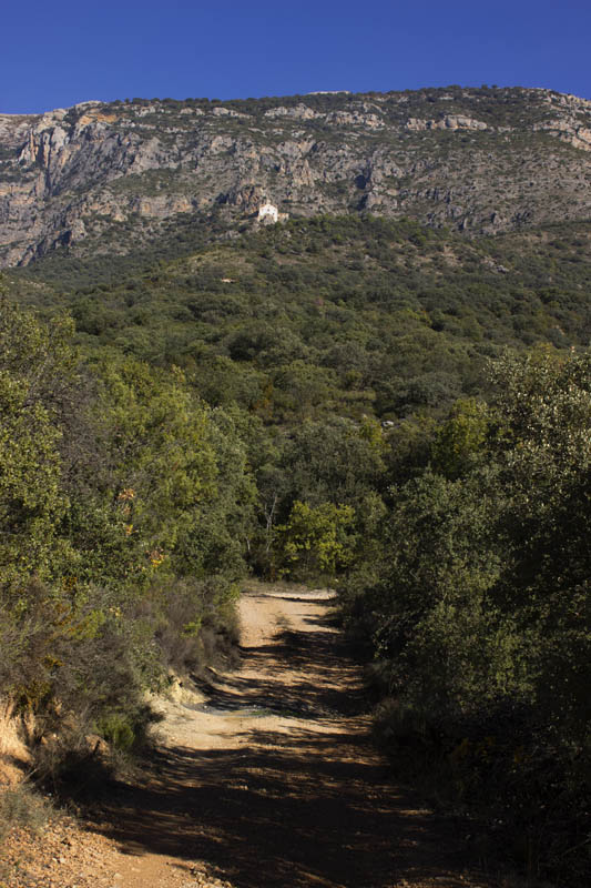 Camí cap a l'Ermita de la Mare de Deu de la Pedra