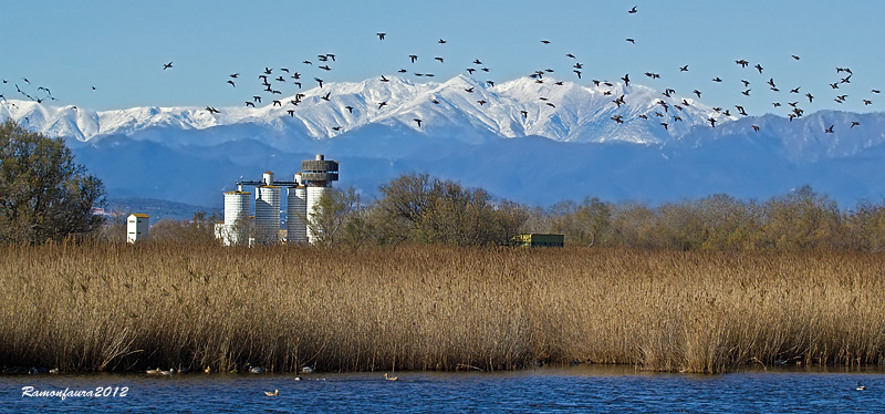 La Massona