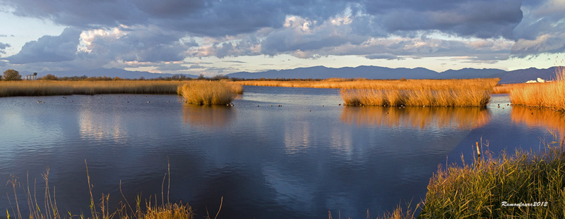 Estany de La Massona