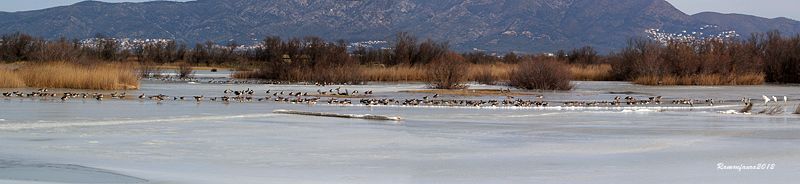 El Parc avui III