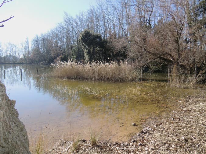 Llac de Graugés, Berguedà