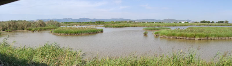 Panoràmica de la Maresma de les Filiìnes