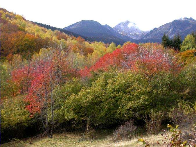 Mijanes, Donezan, Ariège, França