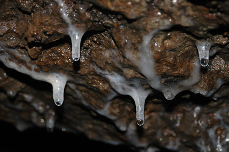 Estalactites de mina a l'entorn de Queralbs