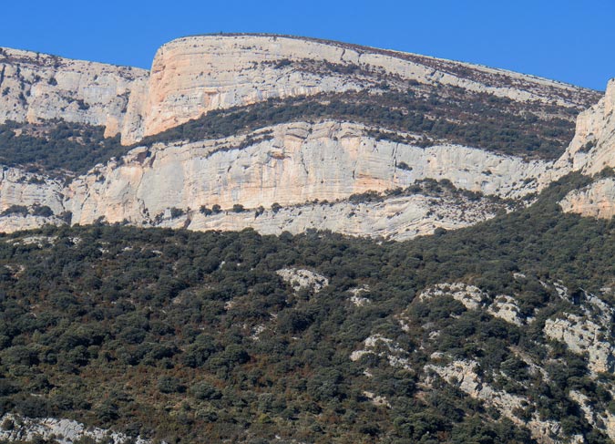 Nerill, Montsec de Rúbies.