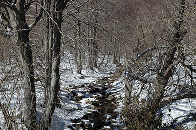 Montseny nevat