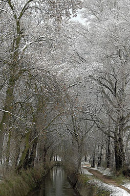 Canal del Urgell i bosc de ribera nevats