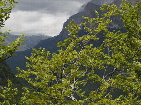 Vista d'Ordesa des de la senda dels caçadors