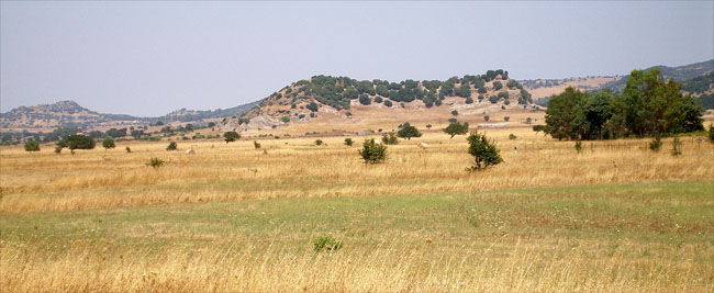 Paisatge mediterrani amb volcans