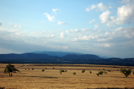 Paisatge de secà. Bellcaire d'Urgell