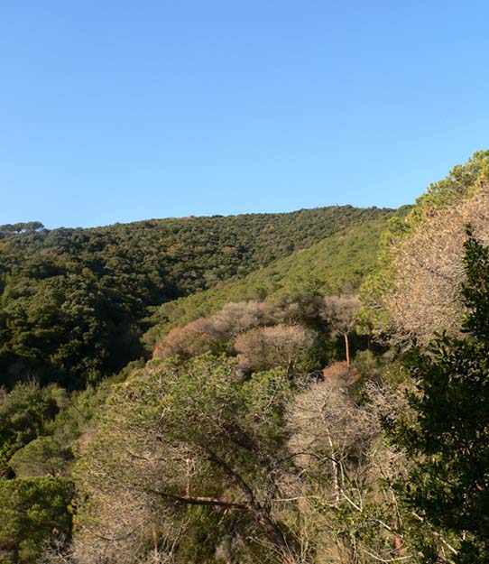 Turó d'en Galceran