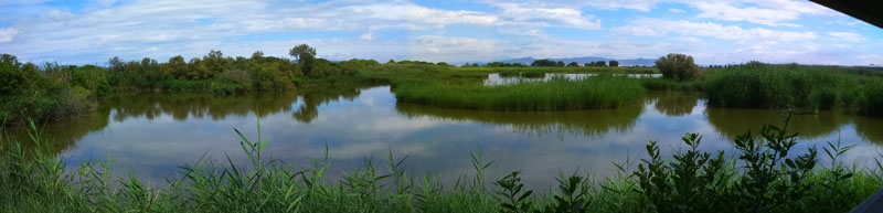 Panoràmica des de les finestres de l'Aguait de la Bassa dels Pollancres