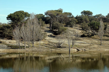 Pantà del torrent de Vall-Llossera