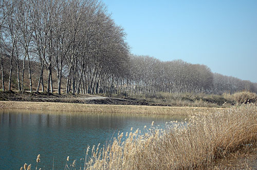 Pantà del Cos, Juneda (Lleida)