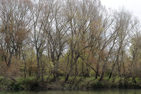 Parc de la Mitjana de Lleida