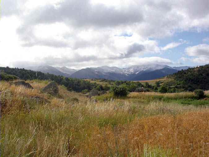 15 d'Agost 2008, El Puigmal vist de Targasona