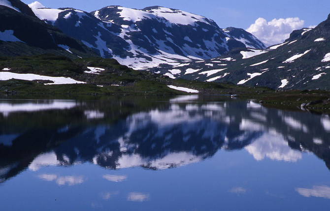 Reflex de Noruega