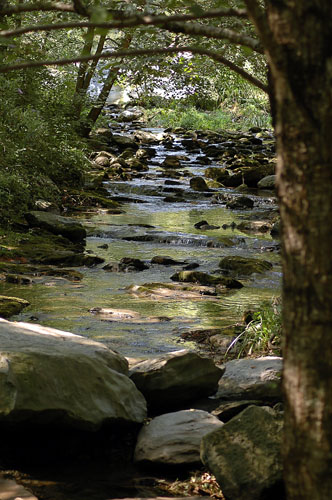 Riera de Beget