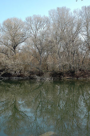 Riu Segre a Lleida