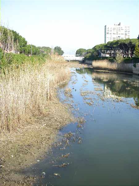 Gavà Mar, Riera, Carrer Salou