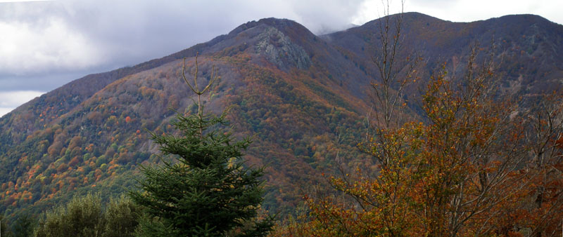 Tardor al Montseny