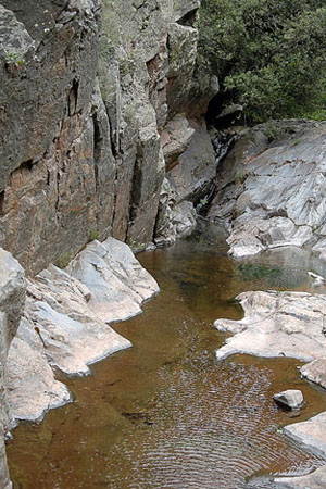 Torrent de la Figuera. Montseny (1)