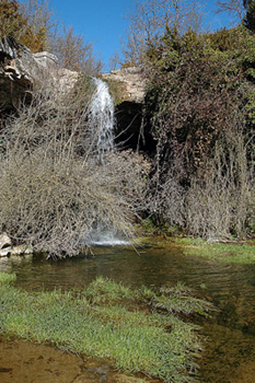 Torrent Mal. Moià