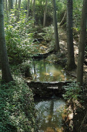 Torrent de Sant Julià