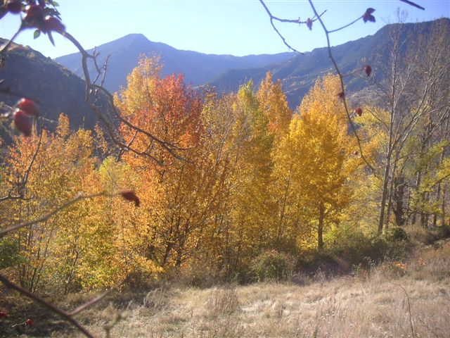 Tardor a Aurós.