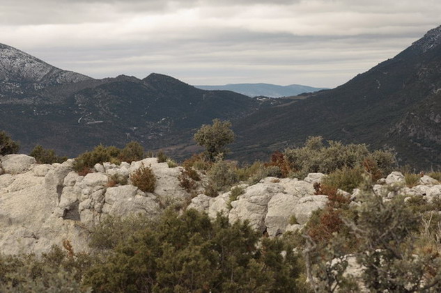 Vista  des de el Cogulló