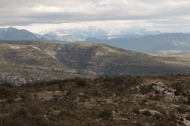 Vista des de el Cogulló