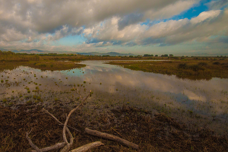 Delta del LLobregat