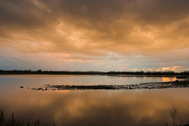 Capvespre a l'Empordà