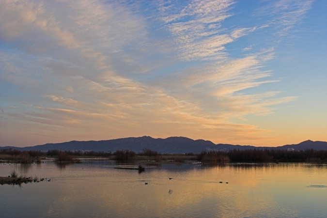 Aiguamolls de l'Empordà al matí