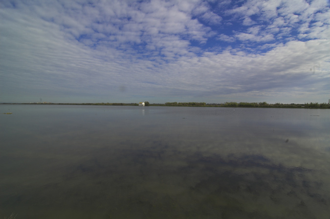 Albufera panorámica II