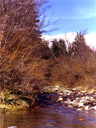 AGUA SINÓNIMO DE VIDA