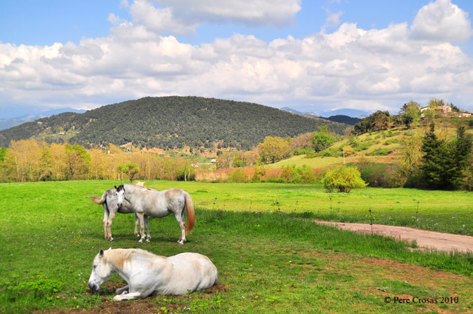 Estampa de Primavera.